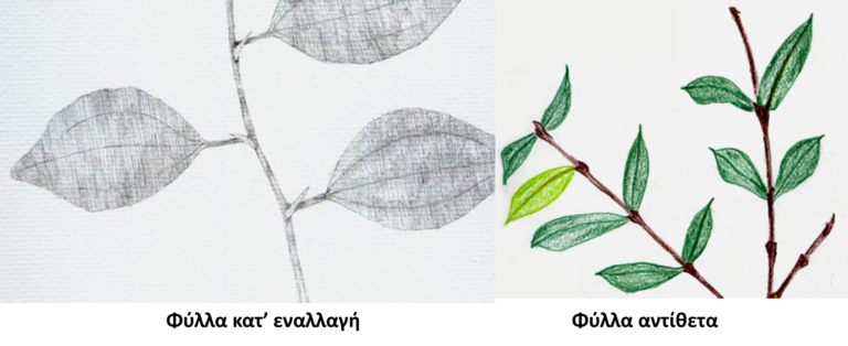 Εναλλασσόμενα