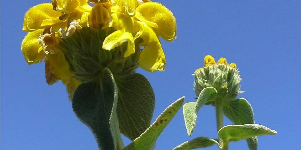 Φωτογραφία 39_0