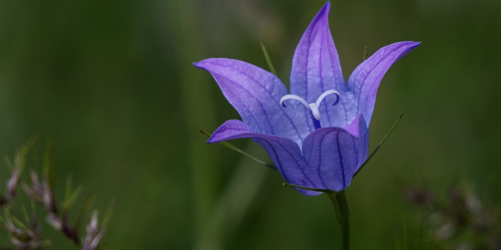 94703079_1529470303885169_1178261970567036928_n