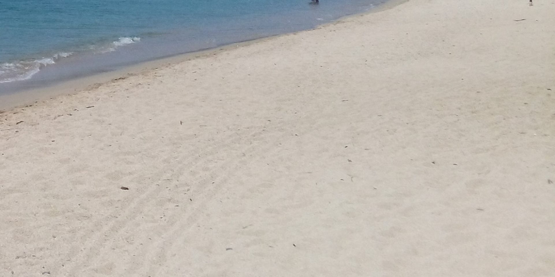 Αμμώδεις παραλίες χωρίς βλάστηση (κωδ. 21Β0-)