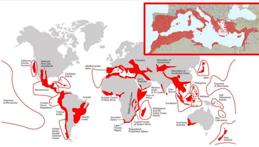 Η Ελλάδα ανήκει στις σημαντικότερες περιοχές για τη διατήρηση των φυτών στη γη
