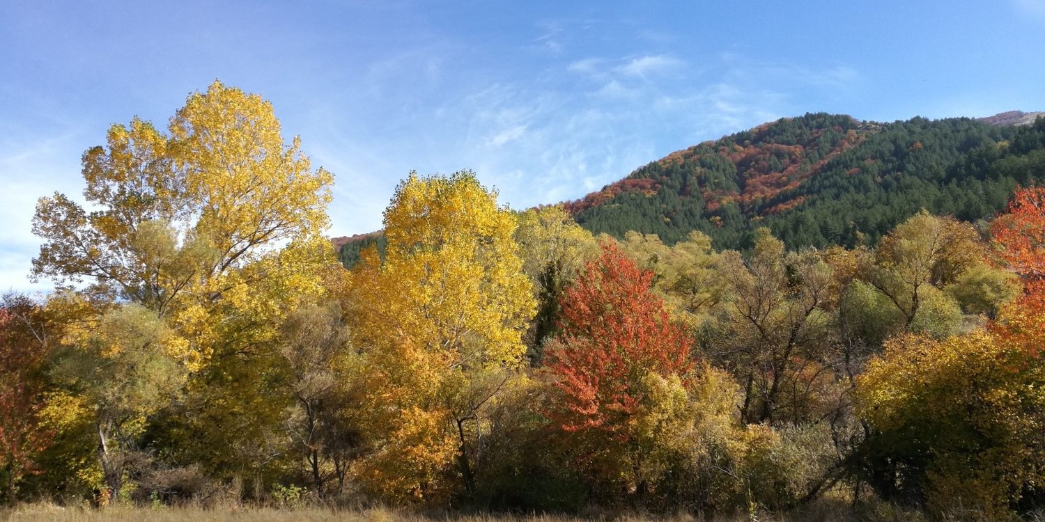 Η αλλαγή των χρωμάτων των φύλλων, το φθινόπωρο