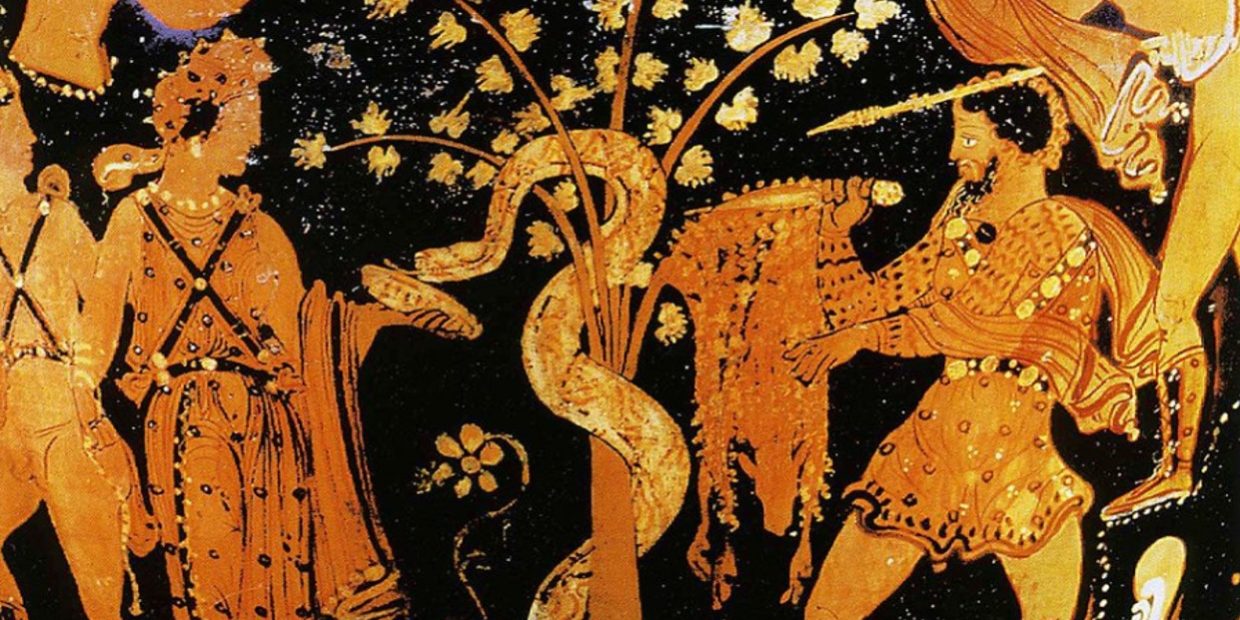 Οι βαλανιδιές και το χρυσόμαλλο δέρας