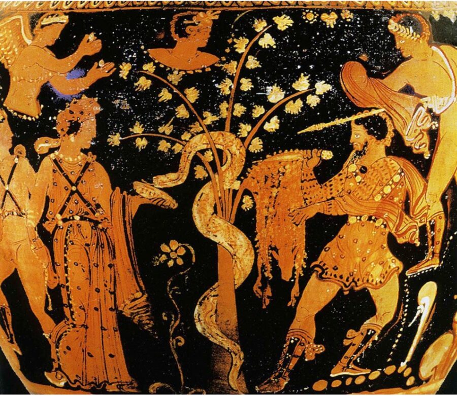 Οι βαλανιδιές και το χρυσόμαλλο δέρας