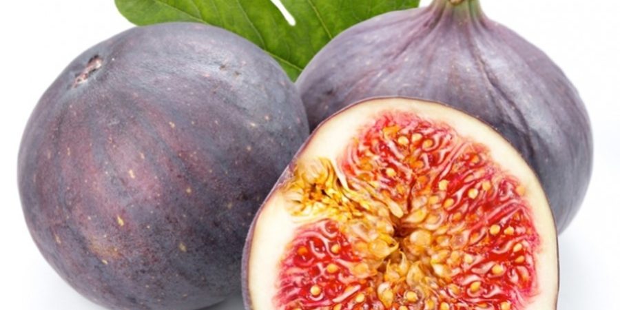 Το σύκο και ο συκοφάντης