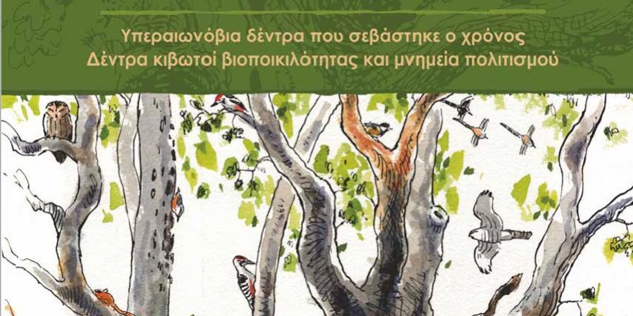 Εκπαιδευτικός και ενημερωτικός οδηγός για τα αιωνόβια δέντρα και τα ιερά δάση