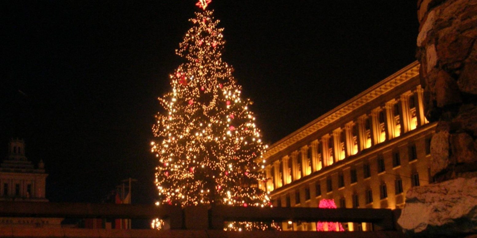 Και έτσι, το έλατο, έγινε Χριστουγεννιάτικο δένδρο