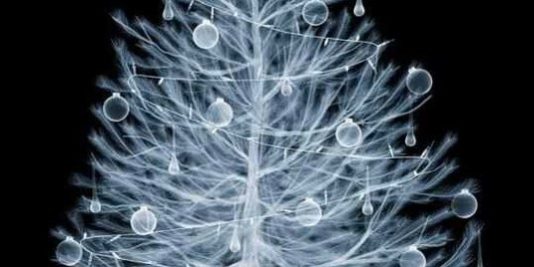 Πλαστικά χριστουγεννιάτικα δέντρα, είναι επικίνδυνα για την υγεία;