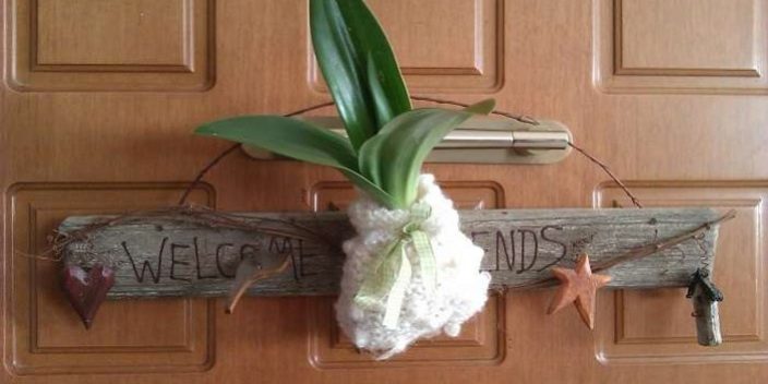 Σκυλοκρέμμυδο, η αγιοβασιλίτσα των γιορτών