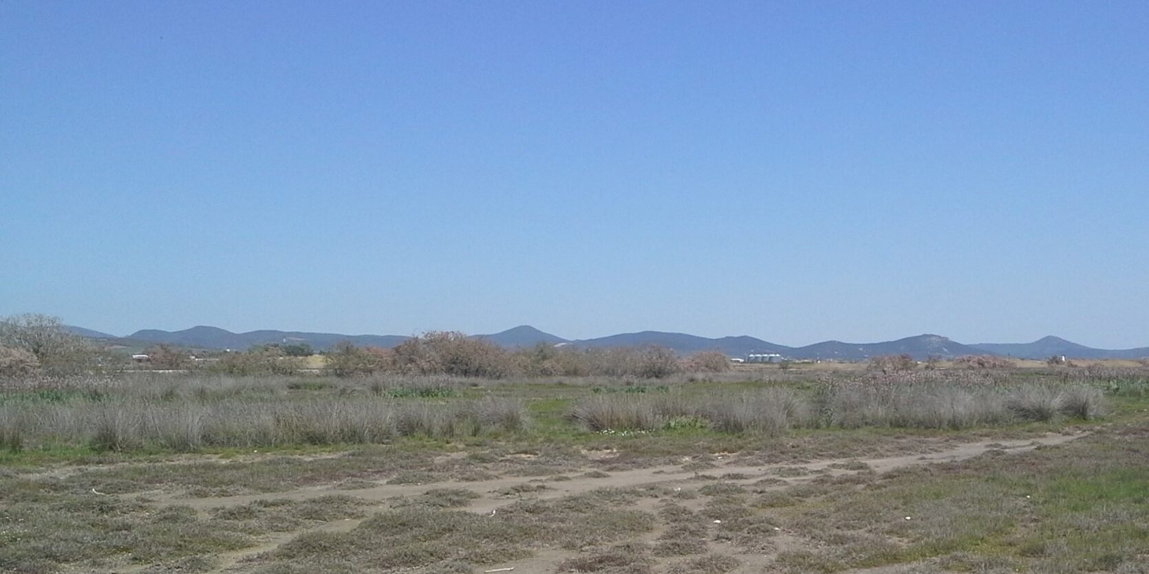 Έβρος Δέλτα