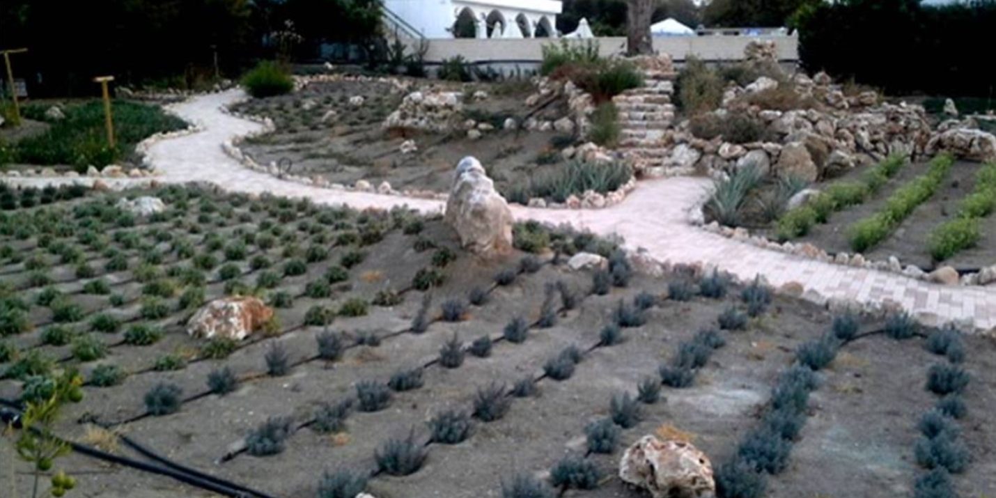 Ένας κήπος με φαρμακευτικά φυτά στην πόλη της Χρυσοχούς (Κύπρος)