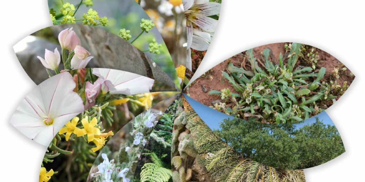 Ημερολόγιο με τα προστατευόμενα είδη των Χανίων