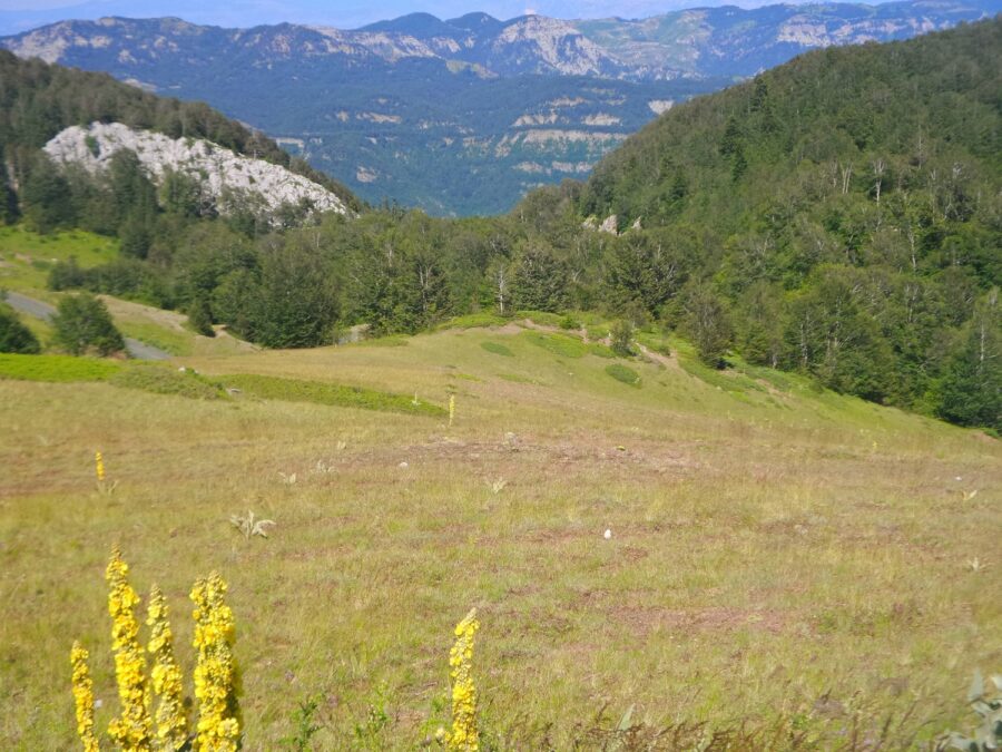 Λιβάδια και οικοσυστημικές υπηρεσίες