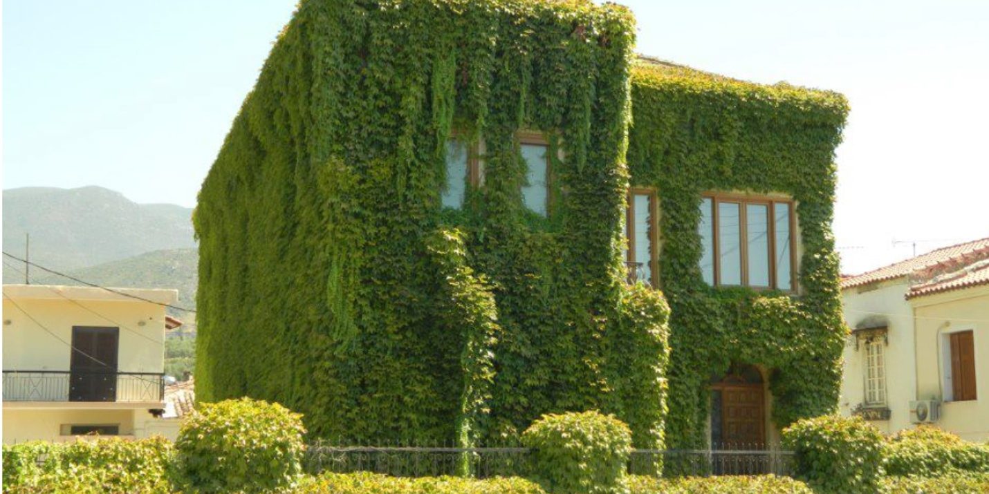 Κάθετοι κήποι