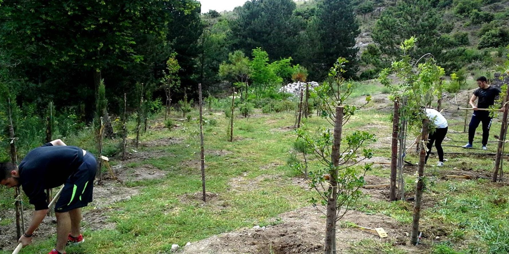 Κήπος Παρνασσού