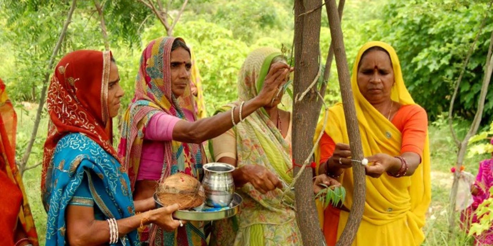 111 δέντρα για κάθε κορίτσι