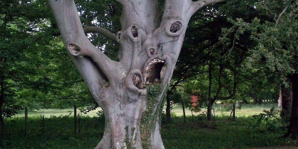 Δέντρα με φαντασία