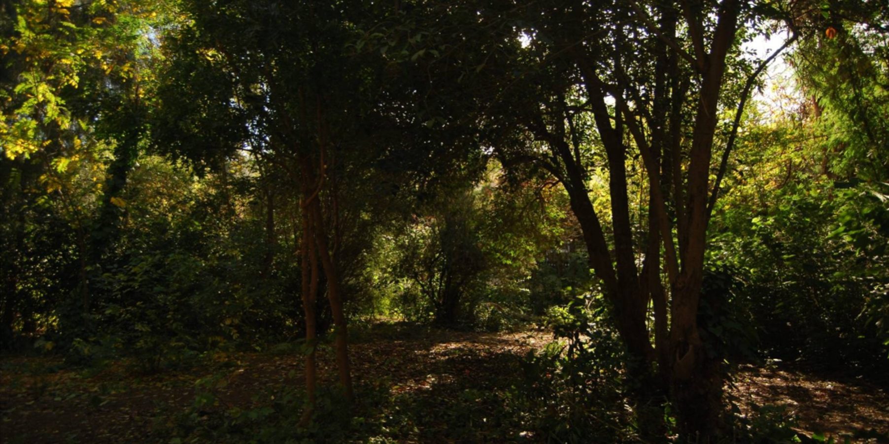 Κήπος Γεωπονικού