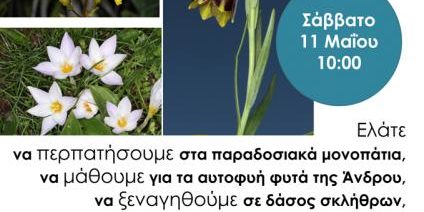 BotanicalTour_Poster