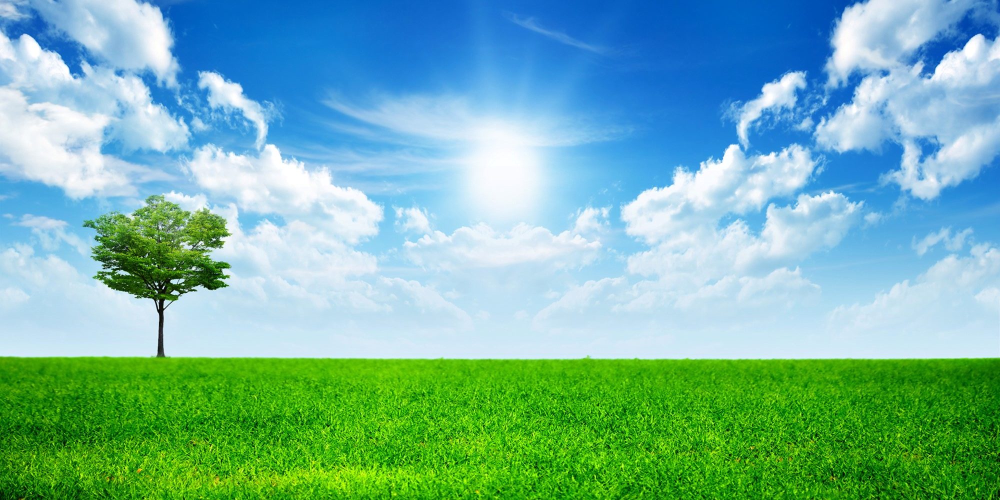 Παράδεισος