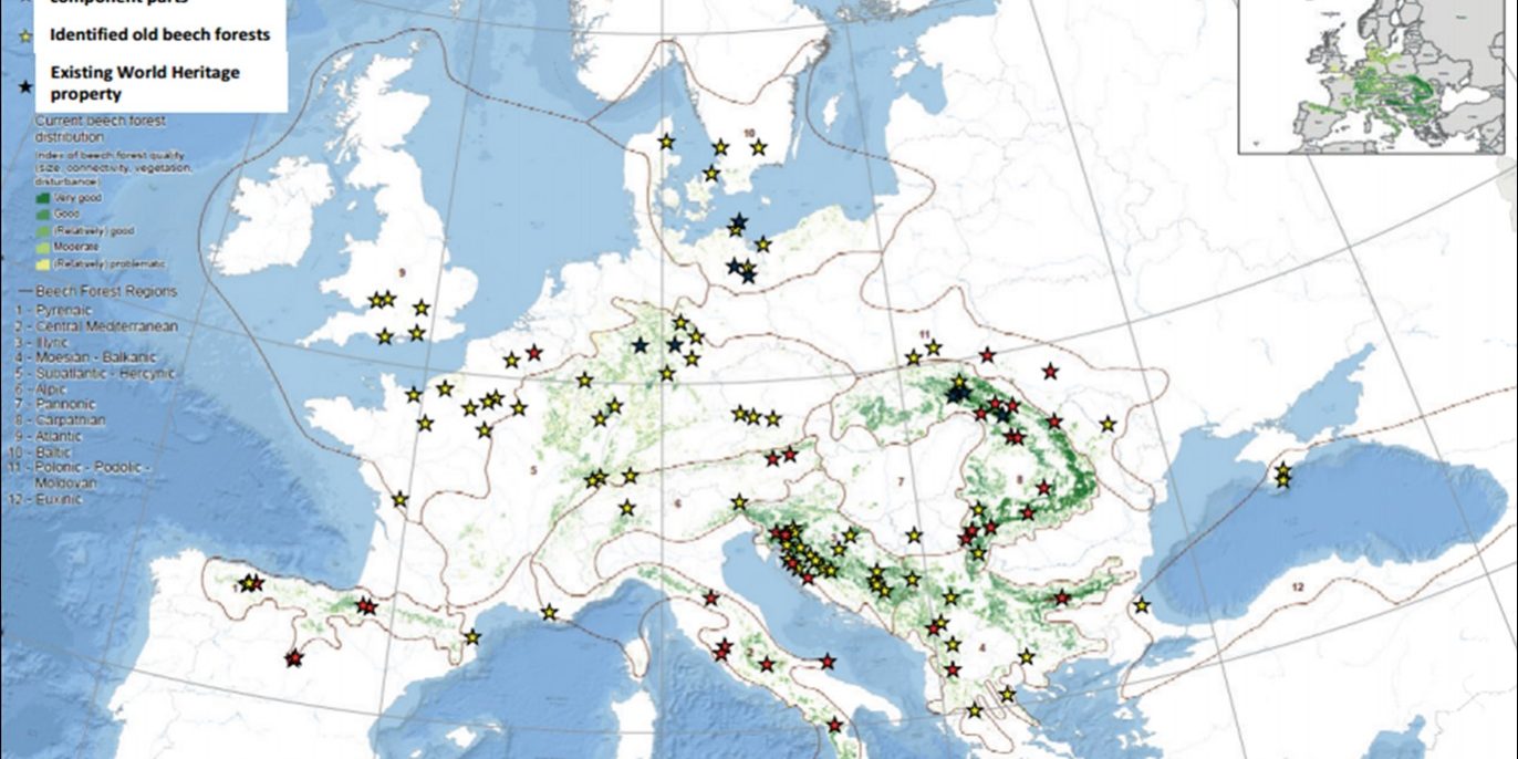 Χάρτης σημαντικών δασών οξιάς