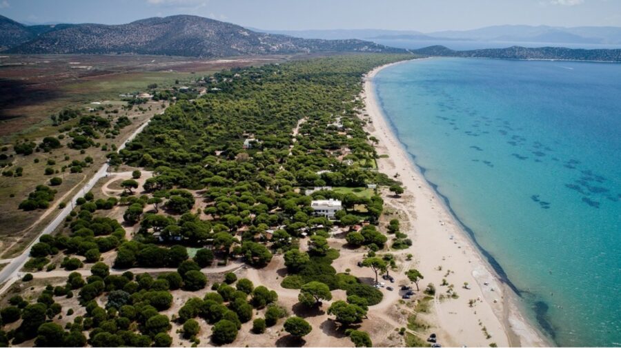 Πάρκο Σχινιά