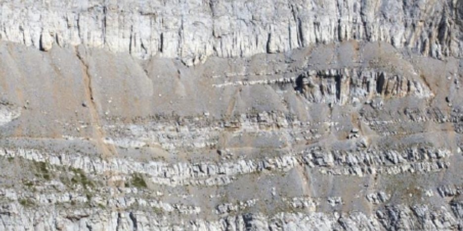 Συνέδριο Δασολογικό_Όλυμπος