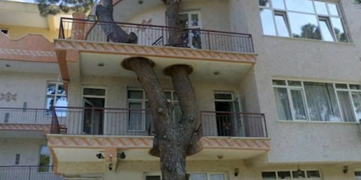 Δέντρα για σπίτια