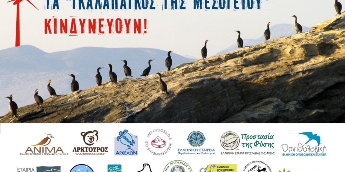 banner_nisides_logos