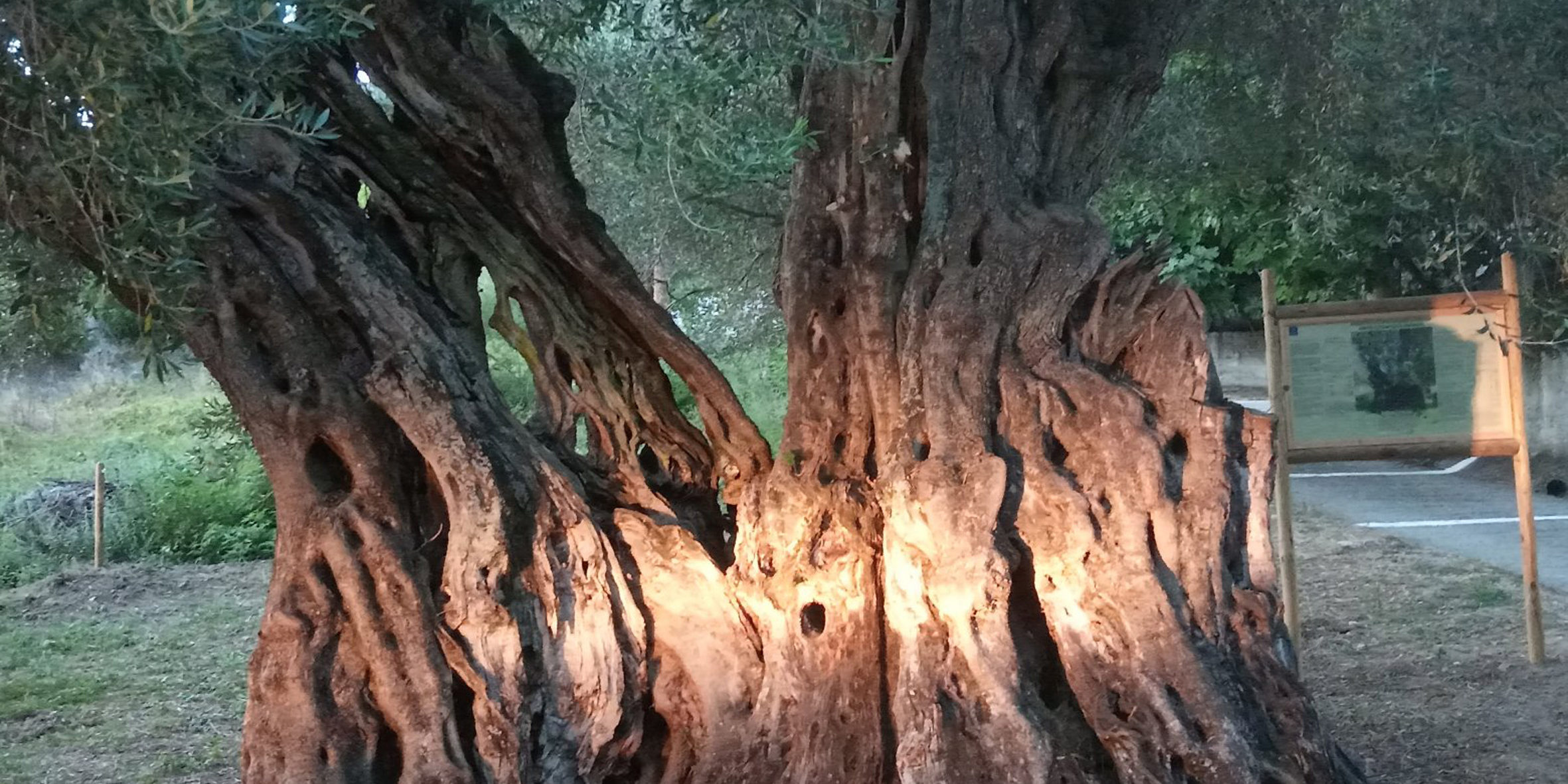 ÊÅÑÊÕÑÁ ÅËÁÉÏÄÅÍÔÑÏ ÇËÉÊÉÁÓ ÅÍÔÅÊÁ ÁÉÙÍÙÍ Ç «ÅÕÄÏÊÉÁ»