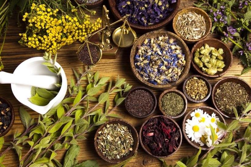 συλλογή βοτάνων