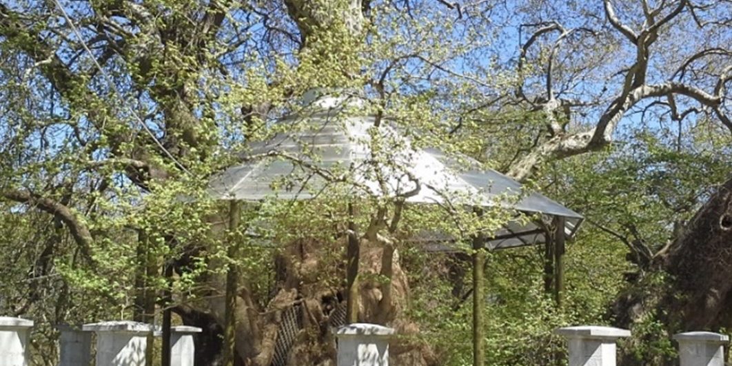 Παναγία Πλατανιώτισσα