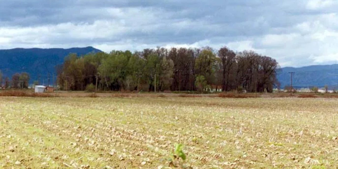 δάσος Παναγιάς της τοπικής κοινότητας Βαλτινού
