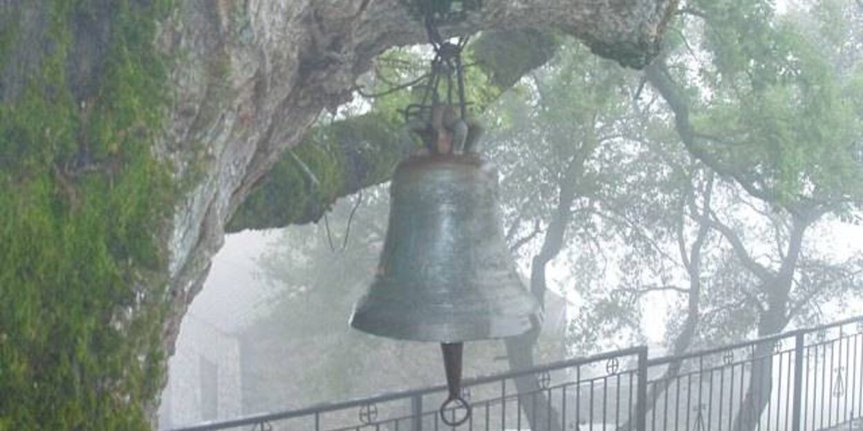 Δέντρο στους Αράπηδες
