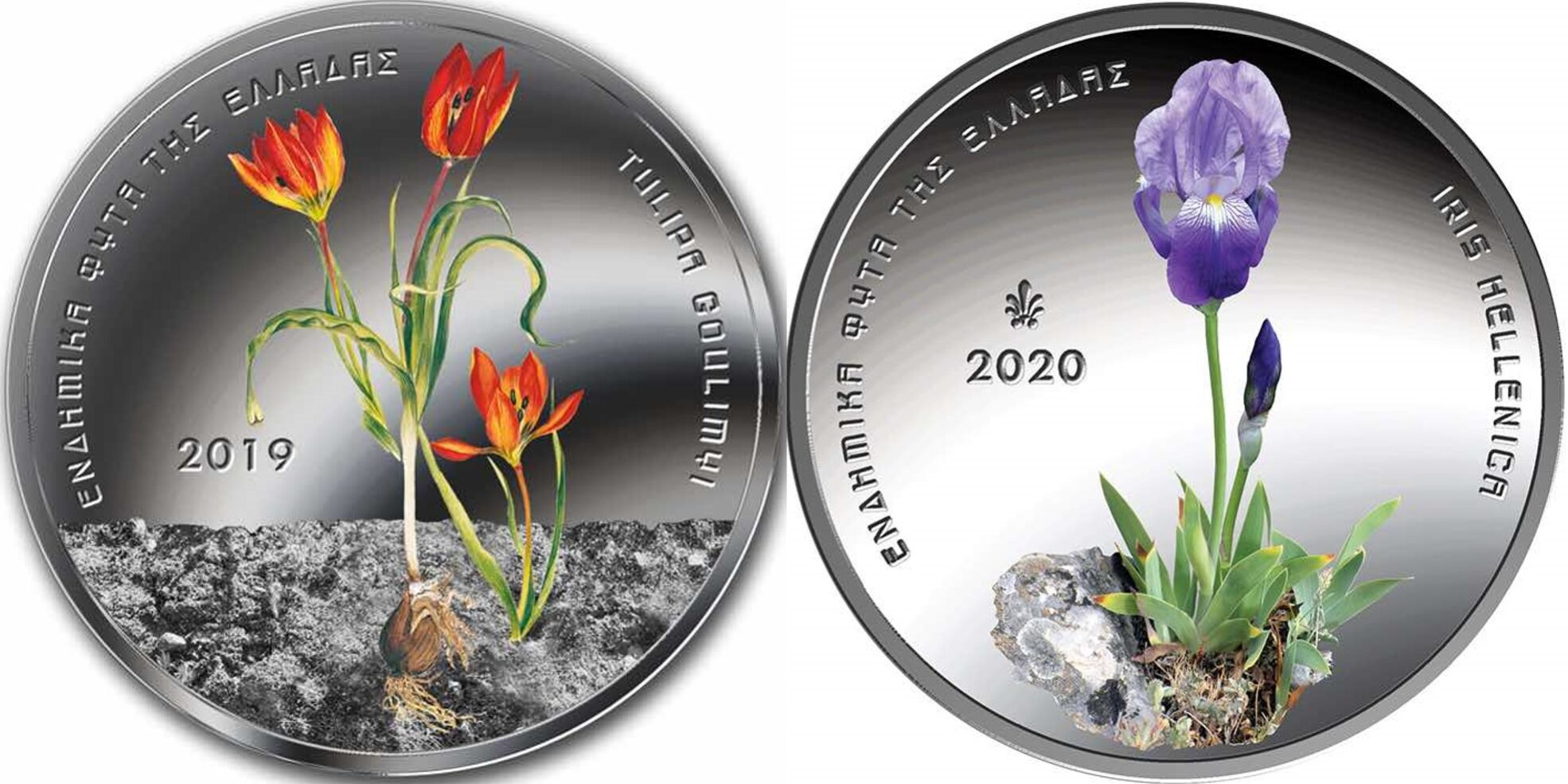 Συλλογή ενδημικών ειδών