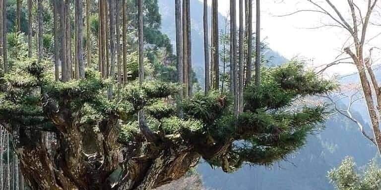 151697818_3956190864427736_5540193185011345365_n