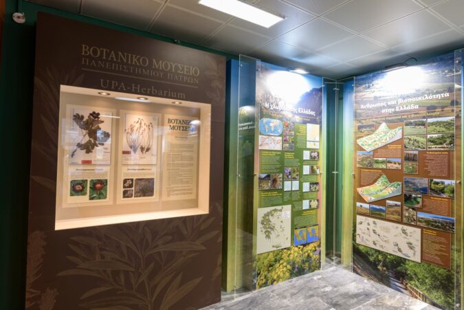 49283479_411433562929478_2861103802944061440_n