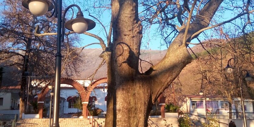 Πλατάνι Άνω Πορόια