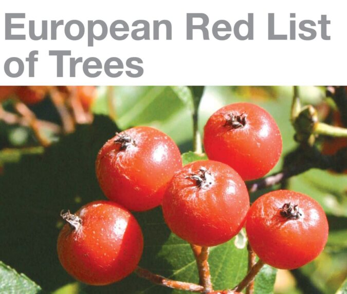 Βιβλίο για απειλούμενα δένδρα