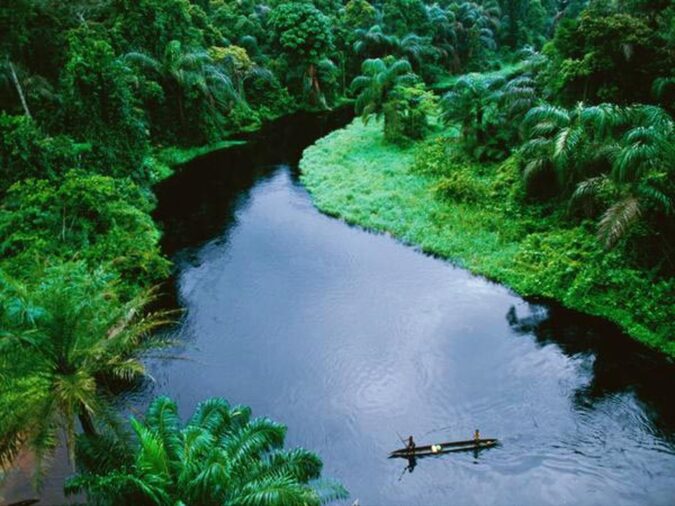 Τροπικό Δάσος